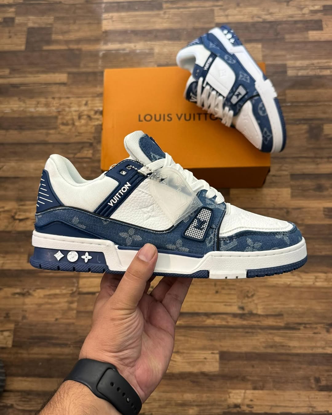 LV TRAINER (4)